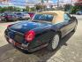 2004 Black /BEIGE Ford Thunderbird Deluxe (1FAHP60A14Y) with an 3.9L V8 DOHC 32V engine, 5-Speed Automatic Overdrive transmission, located at 503 West Court, Seguin, TX, 78155, (830) 379-3373, 29.568621, -97.969803 - Photo#2